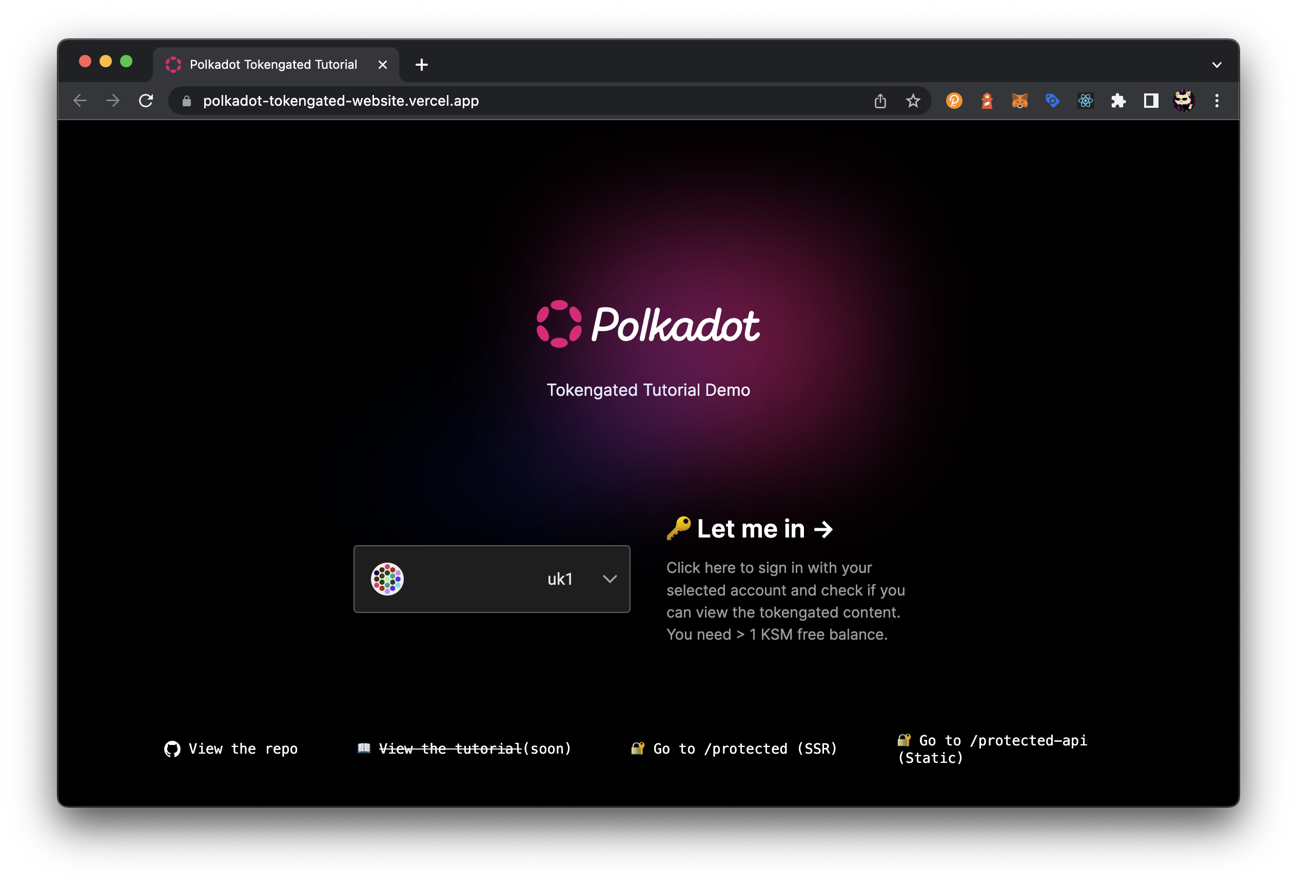 Polkadot Tokengated Demo Website